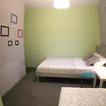 بيت شباب Olive
