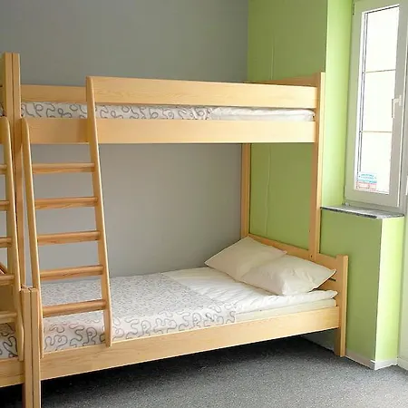 Olive Auberge de jeunesse