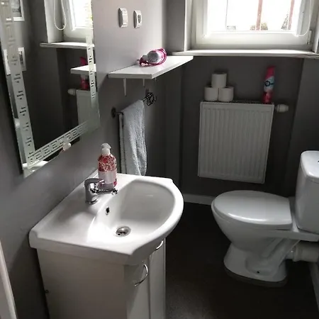 Olive Hostel