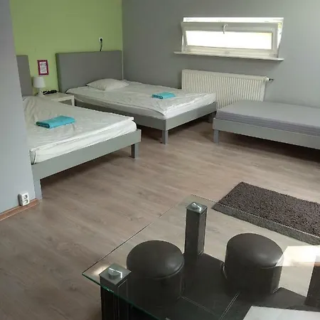 Auberge de jeunesse Olive