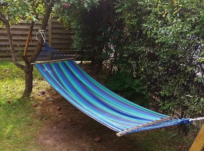 Auberge de jeunesse Olive *