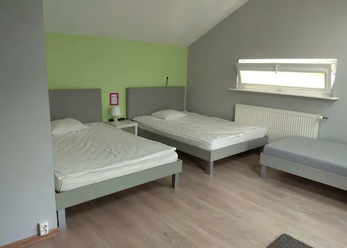 Olive Auberge de jeunesse *